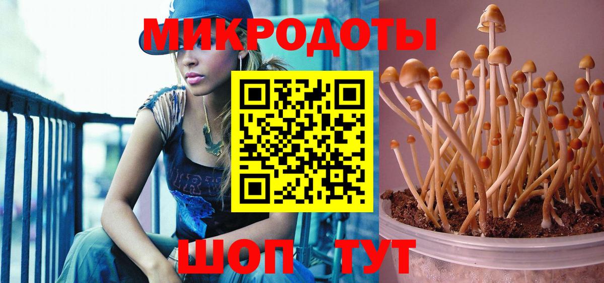 Галлюциногенные грибы мицелий  Вход с VPN  Псилоцибиновые грибы прущие грибы  Рубцовск 